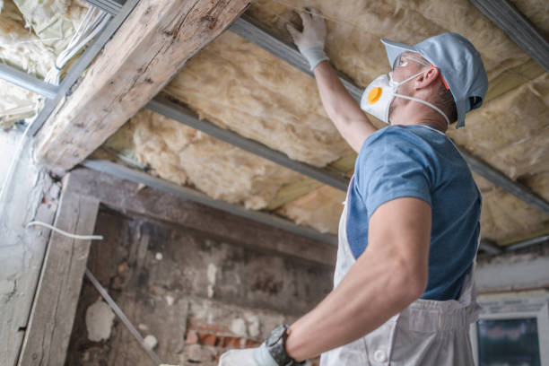 Best Insulation Installation Services in Mount Vernon, IA